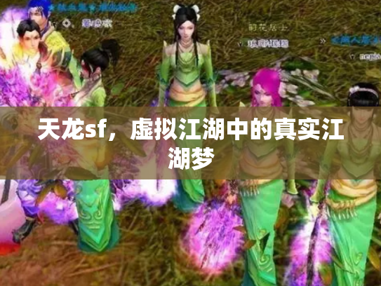 天龙sf，虚拟江湖中的真实江湖梦