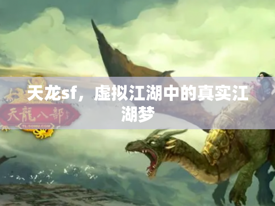 天龙sf，虚拟江湖中的真实江湖梦