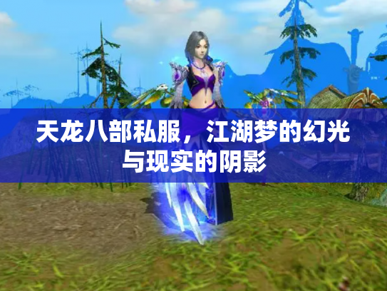 天龙八部私服，江湖梦的幻光与现实的阴影