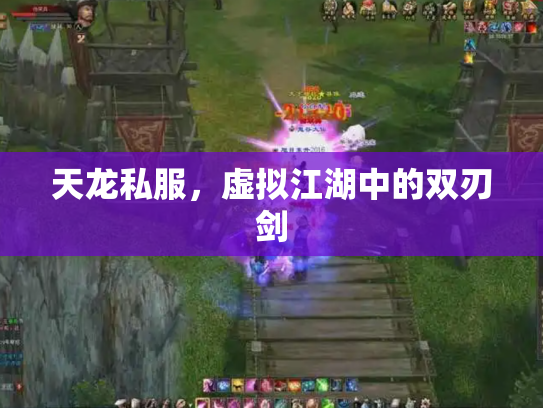 天龙私服，虚拟江湖中的双刃剑