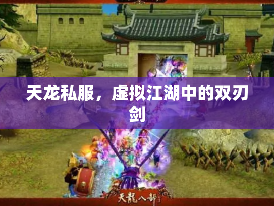 天龙私服，虚拟江湖中的双刃剑