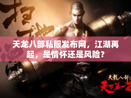 天龙八部私服发布网，江湖再起，是情怀还是风险？