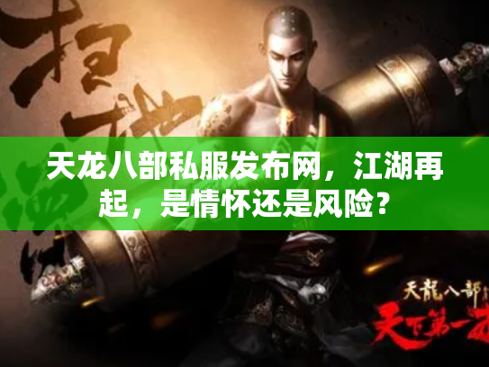天龙八部私服发布网，江湖再起，是情怀还是风险？