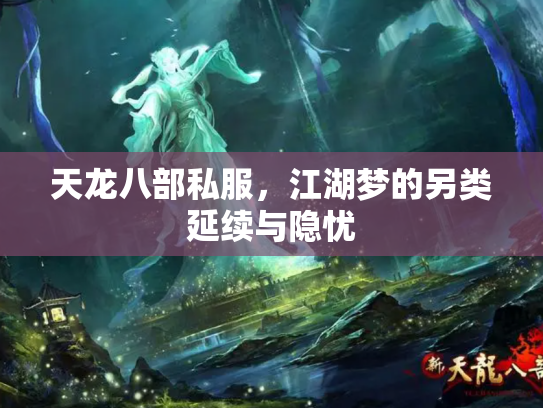 天龙八部私服，江湖梦的另类延续与隐忧