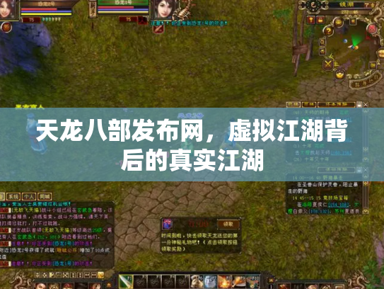 天龙八部发布网，虚拟江湖背后的真实江湖