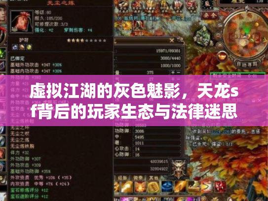 虚拟江湖的灰色魅影，天龙sf背后的玩家生态与法律迷思