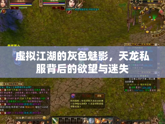 虚拟江湖的灰色魅影，天龙私服背后的欲望与迷失