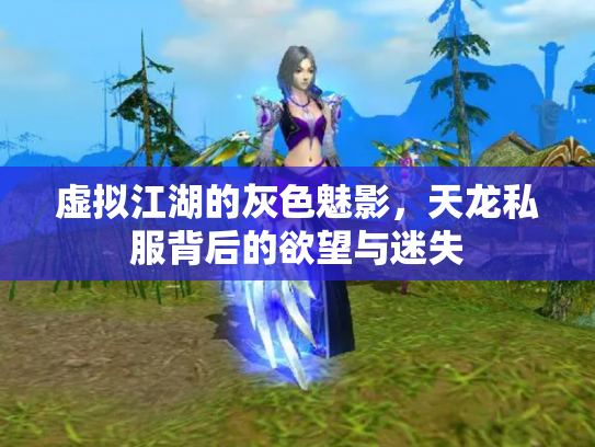 虚拟江湖的灰色魅影，天龙私服背后的欲望与迷失