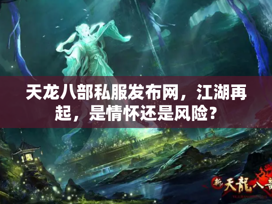 天龙八部私服发布网，江湖再起，是情怀还是风险？