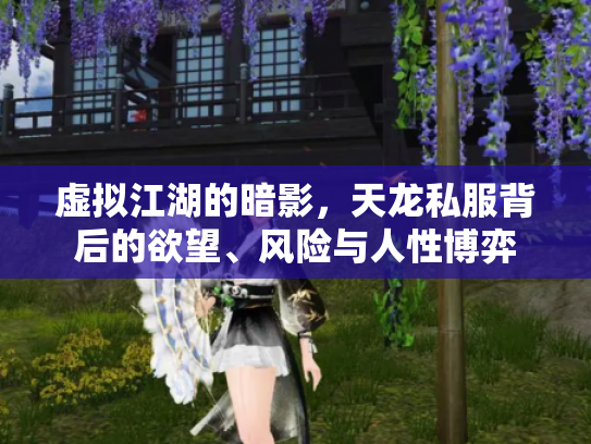 虚拟江湖的暗影，天龙私服背后的欲望、风险与人性博弈