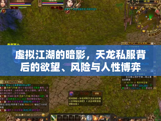 虚拟江湖的暗影，天龙私服背后的欲望、风险与人性博弈