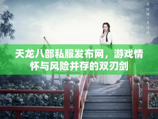 天龙八部私服发布网，游戏情怀与风险并存的双刃剑