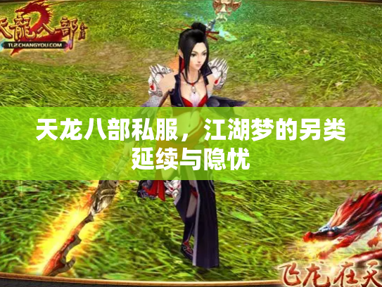 天龙八部私服，江湖梦的另类延续与隐忧