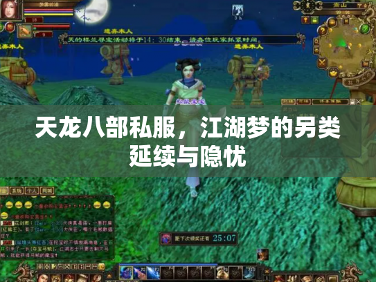 天龙八部私服，江湖梦的另类延续与隐忧