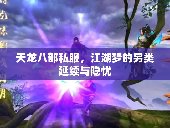 天龙八部私服，江湖梦的另类延续与隐忧