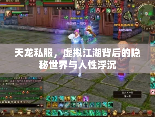 天龙私服，虚拟江湖背后的隐秘世界与人性浮沉