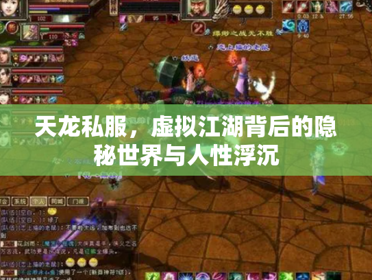 天龙私服，虚拟江湖背后的隐秘世界与人性浮沉