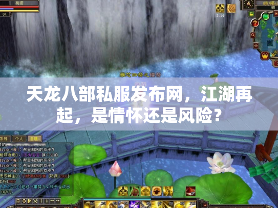 天龙八部私服发布网，江湖再起，是情怀还是风险？