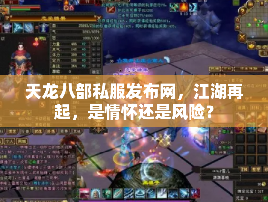 天龙八部私服发布网，江湖再起，是情怀还是风险？