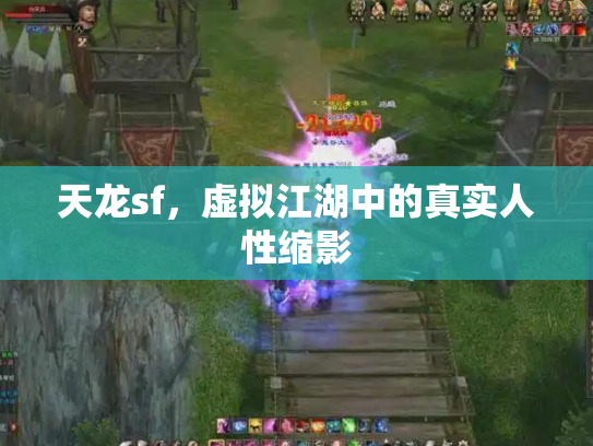 天龙sf，虚拟江湖中的真实人性缩影