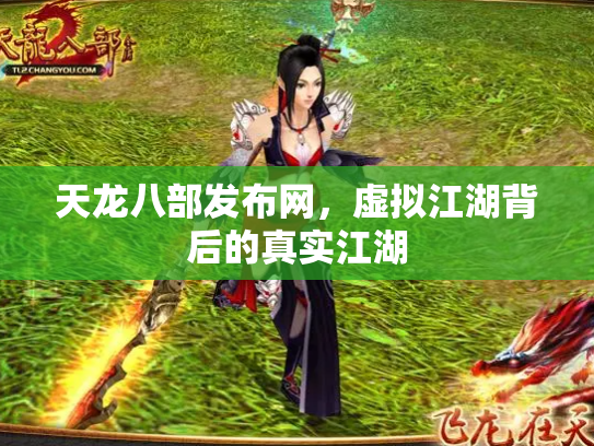 天龙八部发布网，虚拟江湖背后的真实江湖