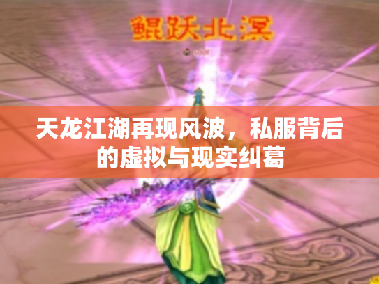 天龙江湖再现风波，私服背后的虚拟与现实纠葛