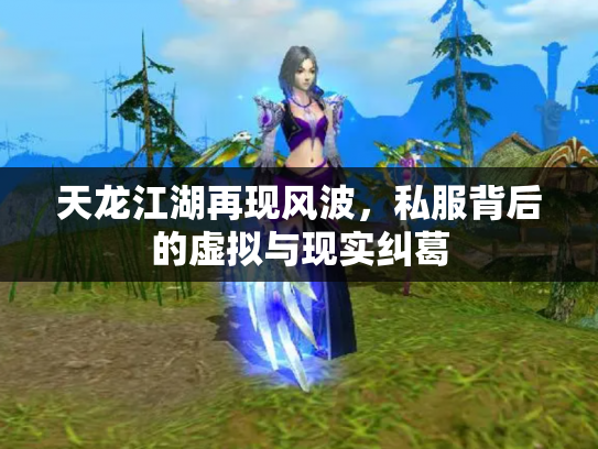 天龙江湖再现风波，私服背后的虚拟与现实纠葛
