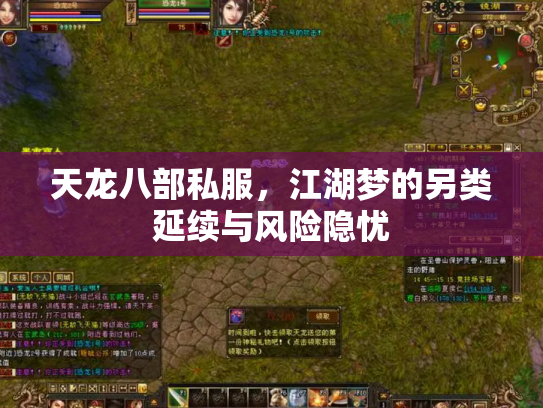 天龙八部私服，江湖梦的另类延续与风险隐忧