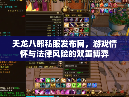 天龙八部私服发布网，游戏情怀与法律风险的双重博弈