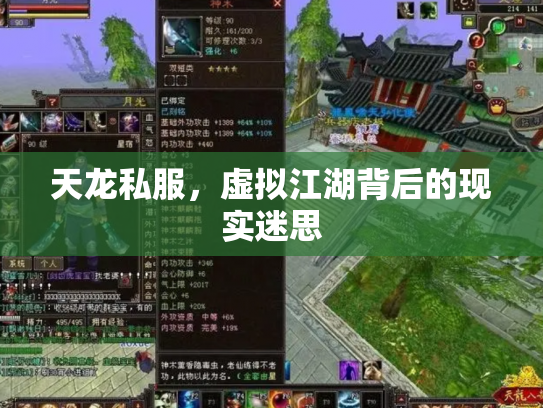 天龙私服，虚拟江湖背后的现实迷思