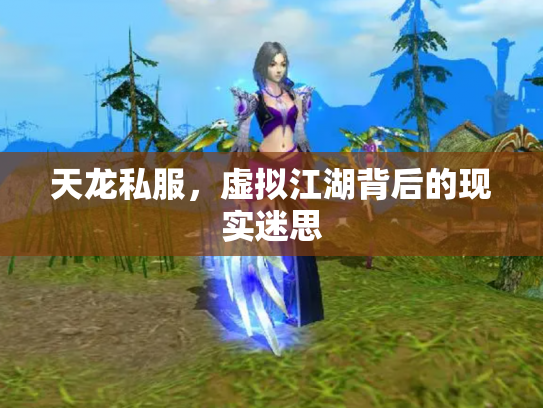 天龙私服，虚拟江湖背后的现实迷思