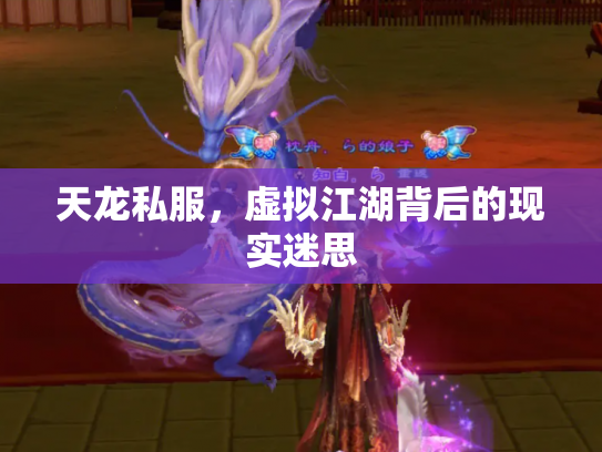 天龙私服，虚拟江湖背后的现实迷思