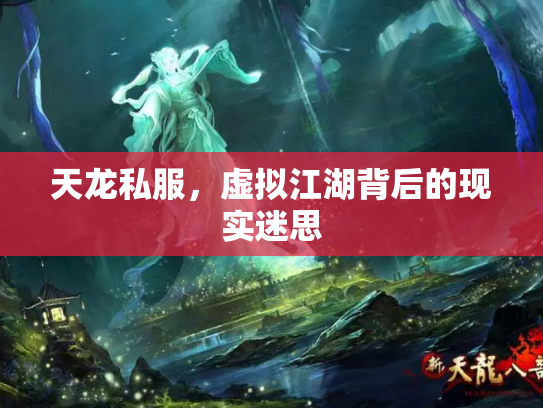 天龙私服，虚拟江湖背后的现实迷思