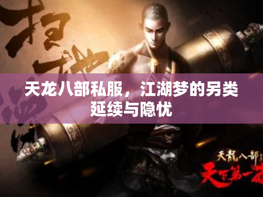 天龙八部私服，江湖梦的另类延续与隐忧