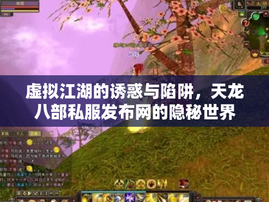 虚拟江湖的诱惑与陷阱，天龙八部私服发布网的隐秘世界
