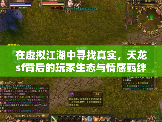 在虚拟江湖中寻找真实，天龙sf背后的玩家生态与情感羁绊