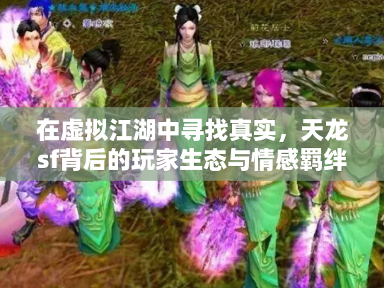 在虚拟江湖中寻找真实，天龙sf背后的玩家生态与情感羁绊