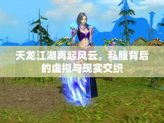 天龙江湖再起风云，私服背后的虚拟与现实交织