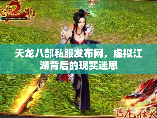 天龙八部私服发布网，虚拟江湖背后的现实迷思