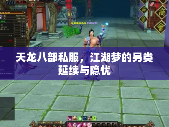 天龙八部私服，江湖梦的另类延续与隐忧