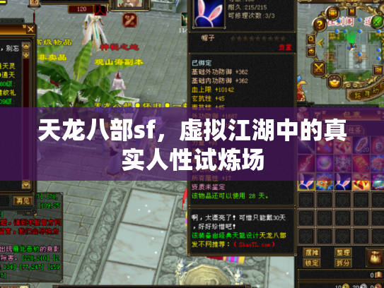 天龙八部sf，虚拟江湖中的真实人性试炼场