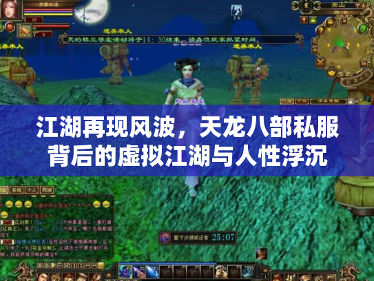 江湖再现风波，天龙八部私服背后的虚拟江湖与人性浮沉