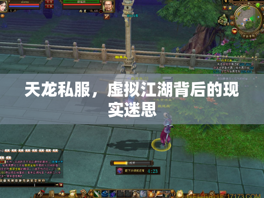 天龙私服，虚拟江湖背后的现实迷思