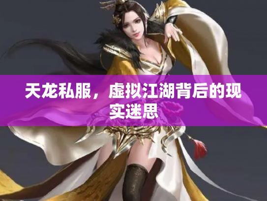 天龙私服，虚拟江湖背后的现实迷思