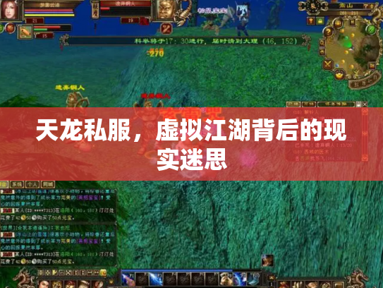 天龙私服，虚拟江湖背后的现实迷思