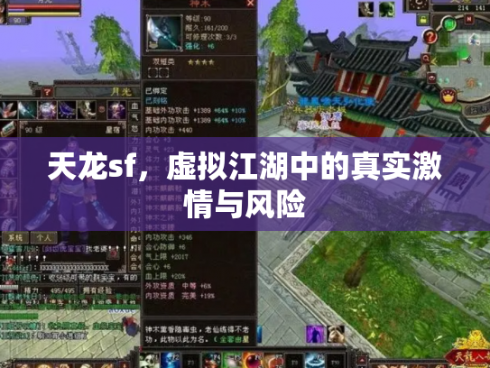 天龙sf，虚拟江湖中的真实激情与风险