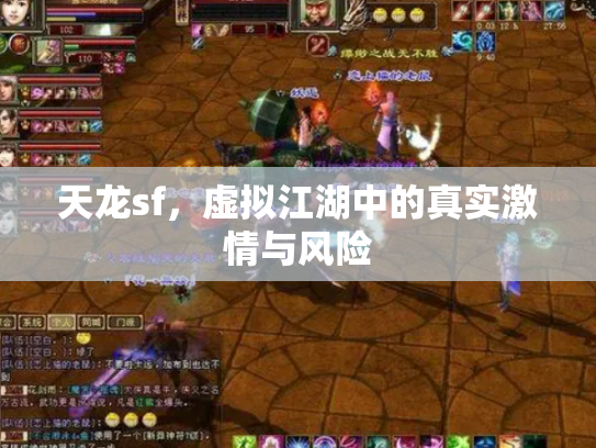 天龙sf，虚拟江湖中的真实激情与风险
