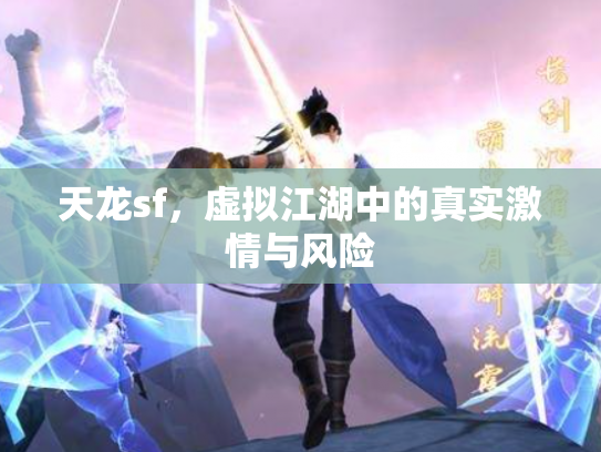 天龙sf，虚拟江湖中的真实激情与风险