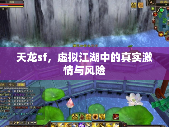 天龙sf，虚拟江湖中的真实激情与风险