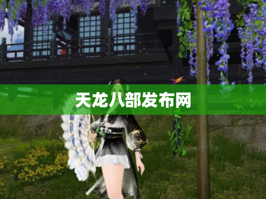 天龙八部发布网